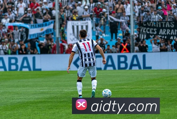 开云平台生态图